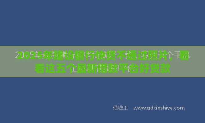 2025年建设银行快贷不通过照片，看看这五个最新借款平台好贷款