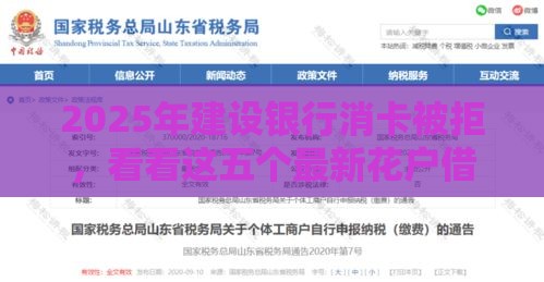 2025年建设银行消卡被拒，看看这五个最新花户借钱的平台100%能借到