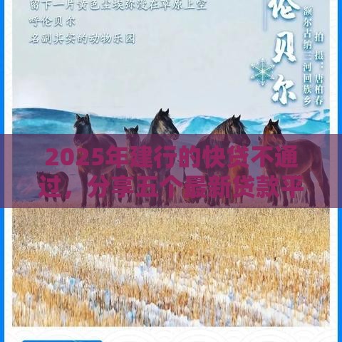 2025年建行的快贷不通过，分享五个最新贷款平台可靠的
