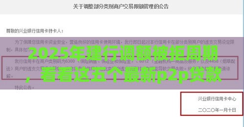 2025年建行调额被拒周期，看看这五个最新p2p贷款平台好