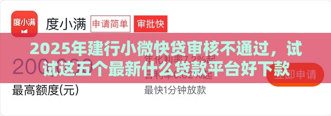 2025年建行小微快贷审核不通过，试试这五个最新什么贷款平台好下款