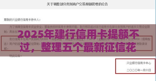 2025年建行信用卡提额不过，整理五个最新征信花找第三方担保贷款平台