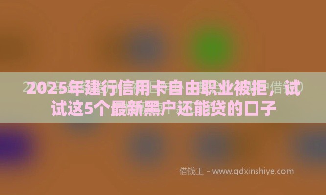 2025年建行信用卡自由职业被拒，试试这5个最新黑户还能贷的口子