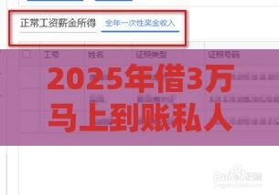 2025年借3万马上到账私人放款，公布5个最新网贷平台查询系统