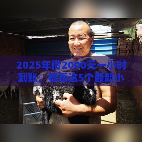 2025年借2000元一小时到账，看看这5个最新小额贷款平台排名不分先后