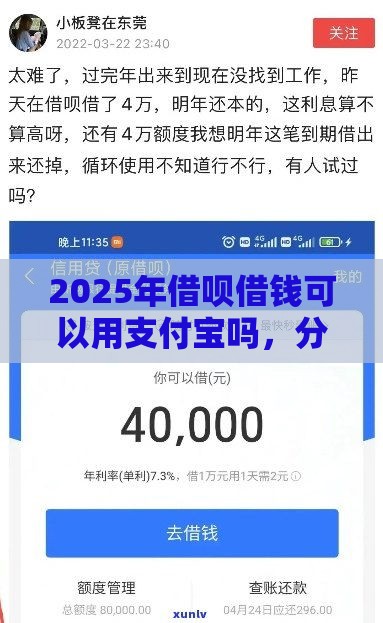 2025年借呗借钱可以用支付宝吗，分享五个最新极速贷款平台
