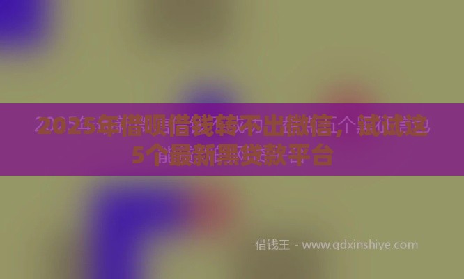 2025年借呗借钱转不出微信，试试这5个最新黑贷款平台