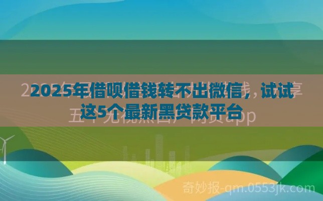 2025年借呗借钱转不出微信，试试这5个最新黑贷款平台