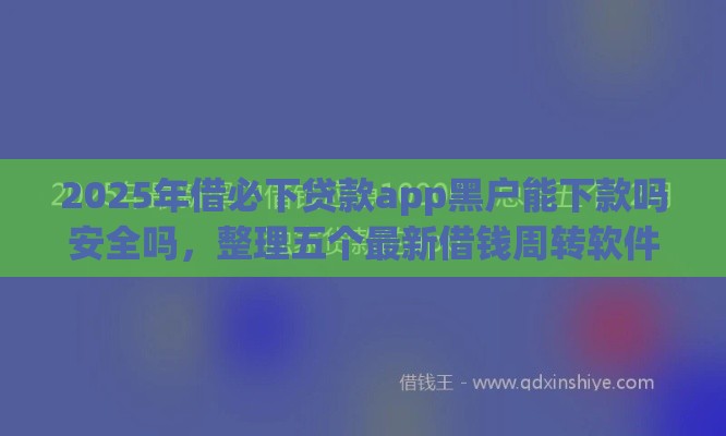 2025年借必下贷款app黑户能下款吗安全吗，整理五个最新借钱周转软件1000