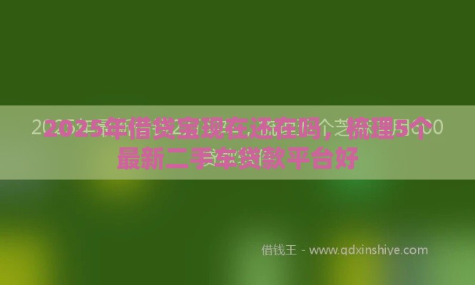 2025年借贷宝现在还在吗，梳理5个最新二手车贷款平台好