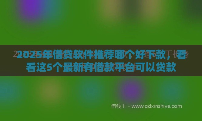 2025年借贷软件推荐哪个好下款，看看这5个最新有借款平台可以贷款
