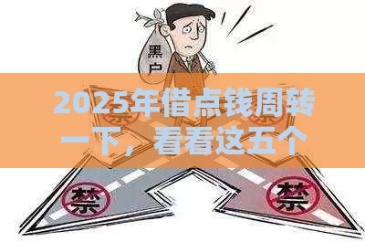 2025年借点钱周转一下，看看这五个最新黑户能贷款的平台有什么