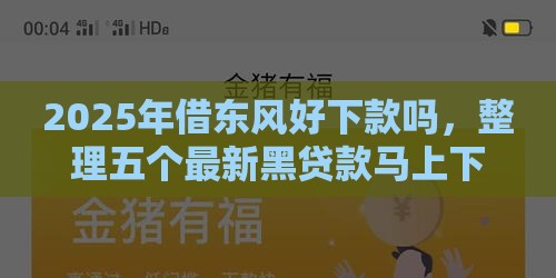 2025年借东风好下款吗，整理五个最新黑贷款马上下款的口子2025
