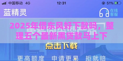 2025年借东风好下款吗，整理五个最新黑贷款马上下款的口子2025