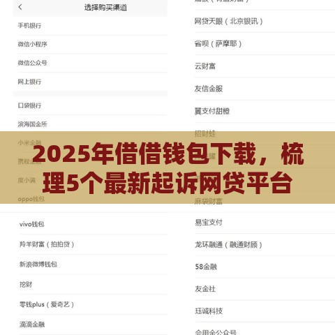 2025年借借钱包下载，梳理5个最新起诉网贷平台
