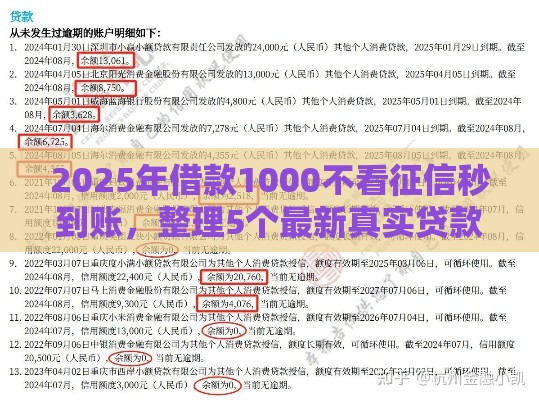 2025年借款1000不看征信秒到账，整理5个最新真实贷款平台