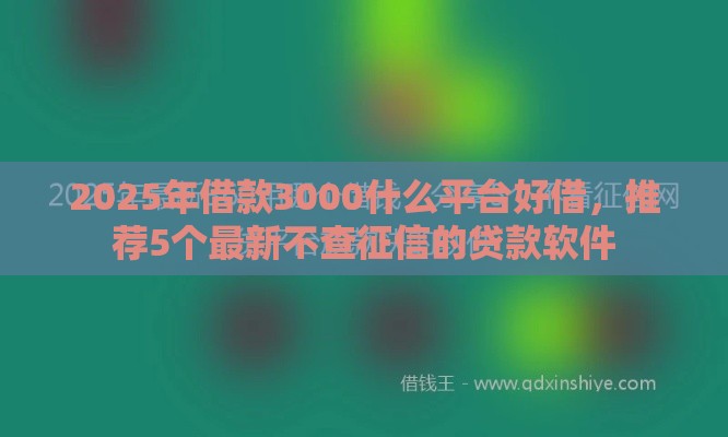 2025年借款3000什么平台好借，推荐5个最新不查征信的贷款软件