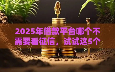 2025年借款平台哪个不需要看征信，试试这5个最新执行人贷款稳下的口子