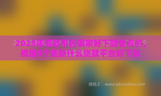 2025年借款平台哪家好下款快点的，梳理5个最新什么贷款平台好下款