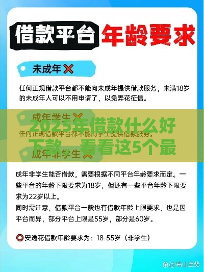 2025年借款什么好下款，看看这5个最新66岁能贷款的平台