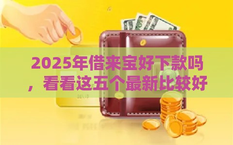 2025年借来宝好下款吗，看看这五个最新比较好的贷款平台