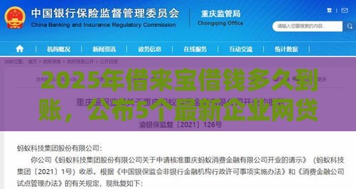 2025年借来宝借钱多久到账，公布5个最新企业网贷平台