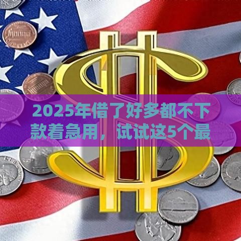 2025年借了好多都不下款着急用，试试这5个最新多个平台被拒还可借钱的软件