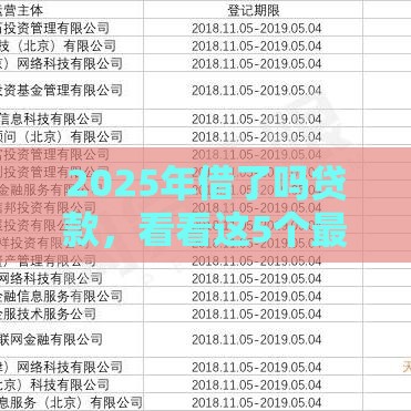 2025年借了吗贷款，看看这5个最新网贷平台好借款