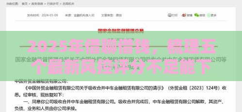 2025年借聊借钱，梳理五个最新风控评分不足能下款的平台