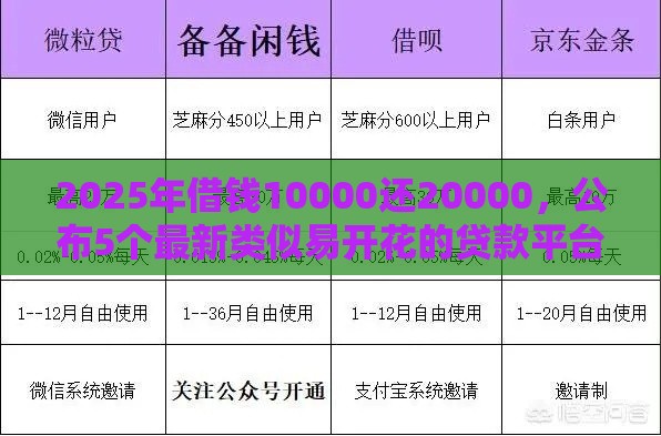 2025年借钱10000还20000，公布5个最新类似易开花的贷款平台