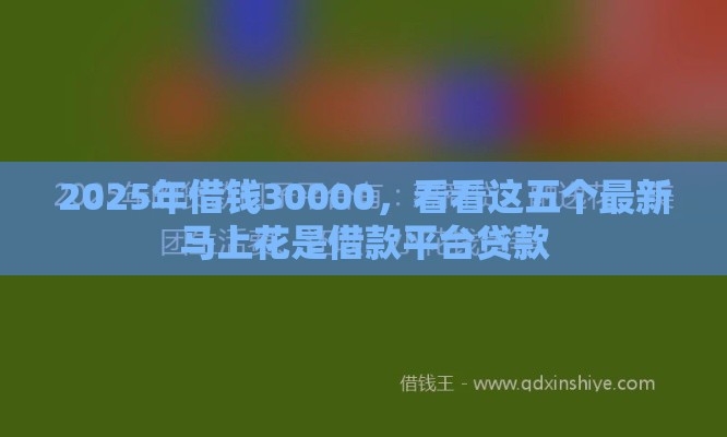 2025年借钱30000，看看这五个最新马上花是借款平台贷款