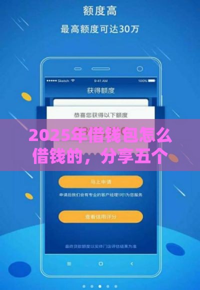 2025年借钱包怎么借钱的，分享五个最新应急借贷款500秒下平台