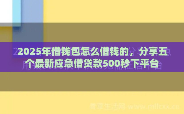 2025年借钱包怎么借钱的，分享五个最新应急借贷款500秒下平台