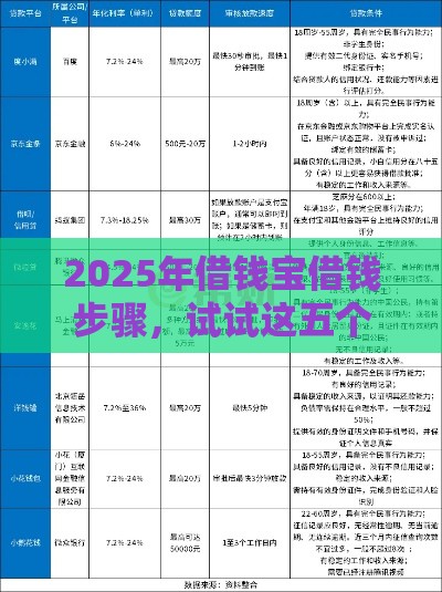 2025年借钱宝借钱步骤，试试这五个最新不看负债的网贷平台