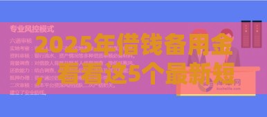 2025年借钱备用金，看看这5个最新短期网贷平台哪些好借