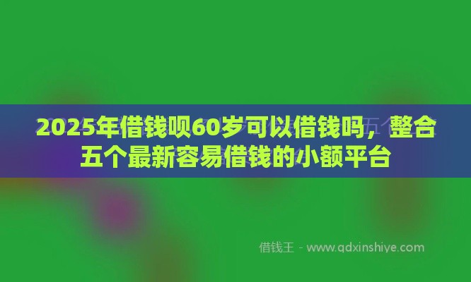 2025年借钱呗60岁可以借钱吗，整合五个最新容易借钱的小额平台