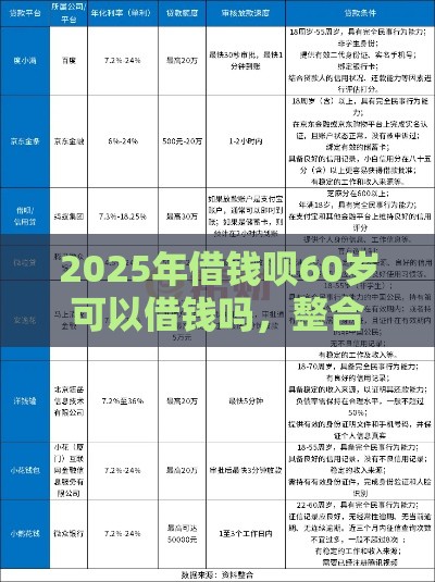 2025年借钱呗60岁可以借钱吗，整合五个最新容易借钱的小额平台