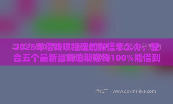 2025年借钱呗经理加微信怎么办，整合五个最新当前逾期借钱100%能借到平台