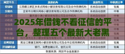 2025年借钱不看征信的平台，整理五个最新大老黑能下款的口子