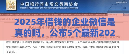 2025年借钱的企业微信是真的吗，公布5个最新2025年高炮口子秒下款