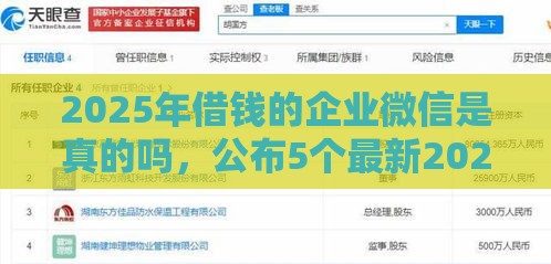 2025年借钱的企业微信是真的吗，公布5个最新2025年高炮口子秒下款