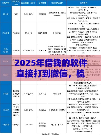 2025年借钱的软件直接打到微信，梳理五个最新没看征信的平台