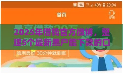 2025年借钱官方微博，整理5个最新黑户能下款的口子