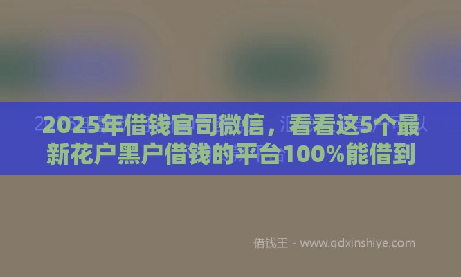 2025年借钱官司微信，看看这5个最新花户黑户借钱的平台100%能借到