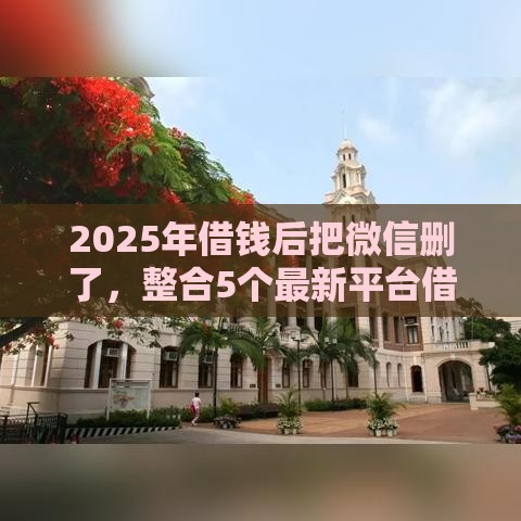 2025年借钱后把微信删了,整合5个最新平台借钱不看综合评分 2025年借钱后把微信删了,整合5个最新平台借钱不看综合评分