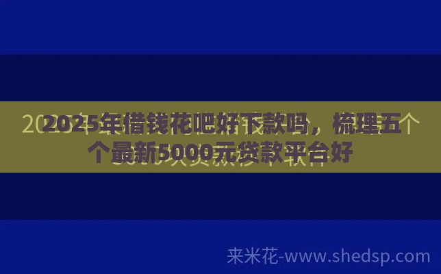2025年借钱花吧好下款吗，梳理五个最新5000元贷款平台好