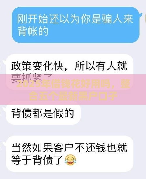 2025年借钱花好用吗，整合五个最新黑户口子