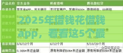 2025年借钱花借钱app，看看这5个最新超级黑户可以下款的口子