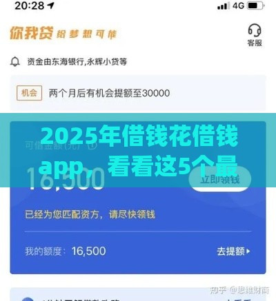 2025年借钱花借钱app，看看这5个最新超级黑户可以下款的口子