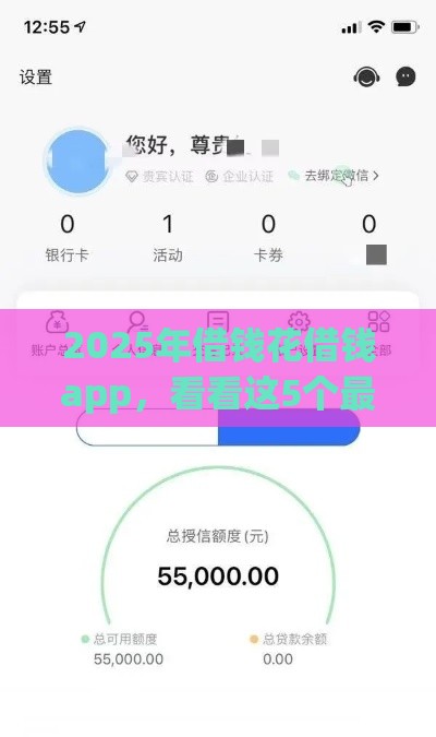 2025年借钱花借钱app，看看这5个最新超级黑户可以下款的口子